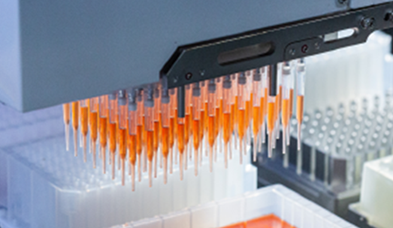 High-throughput pipetting head