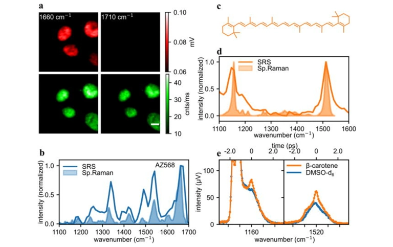 SRS of cells and β-carotene