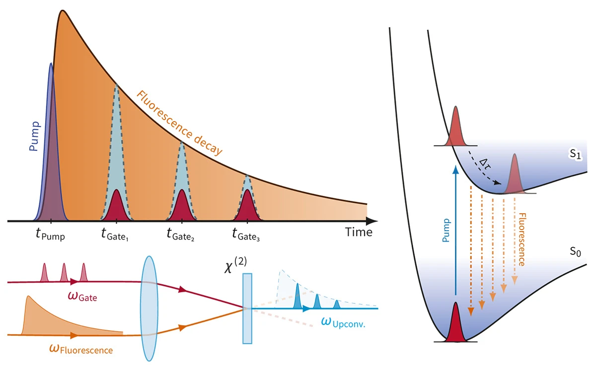 Fluorescence upconversion