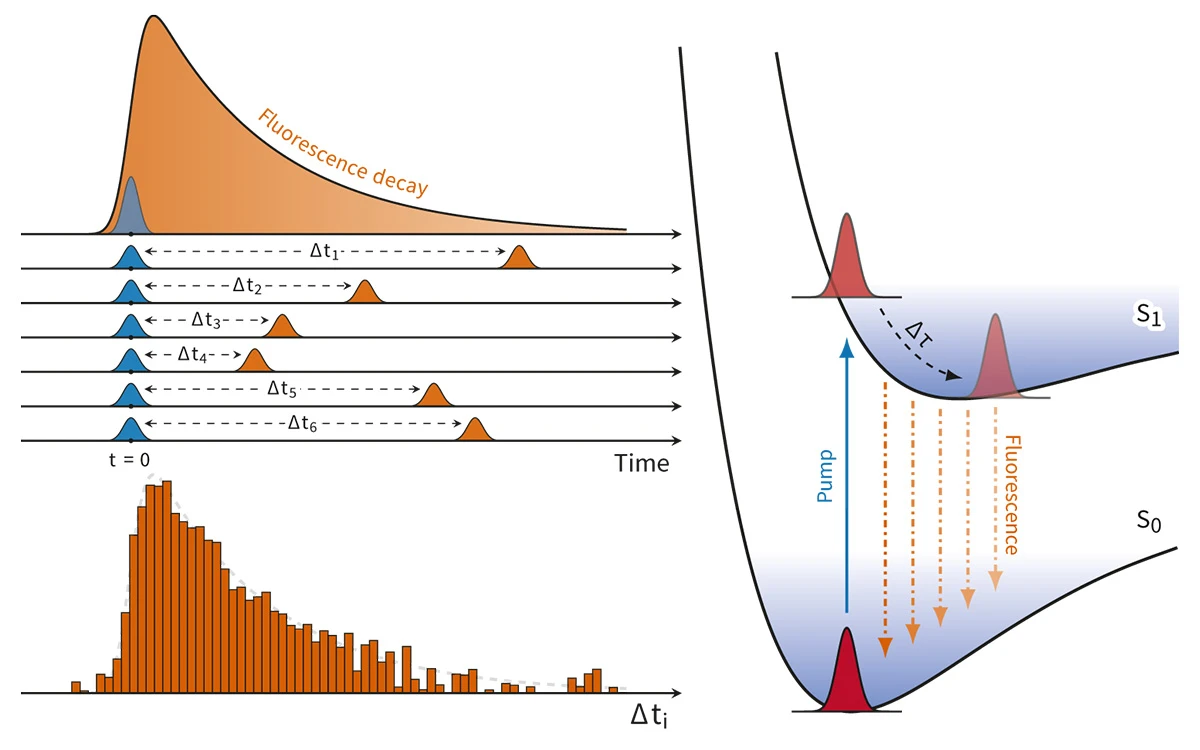 Time-correlated single-photon counting