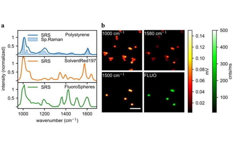 Raman microscopy (CARS & SRS)