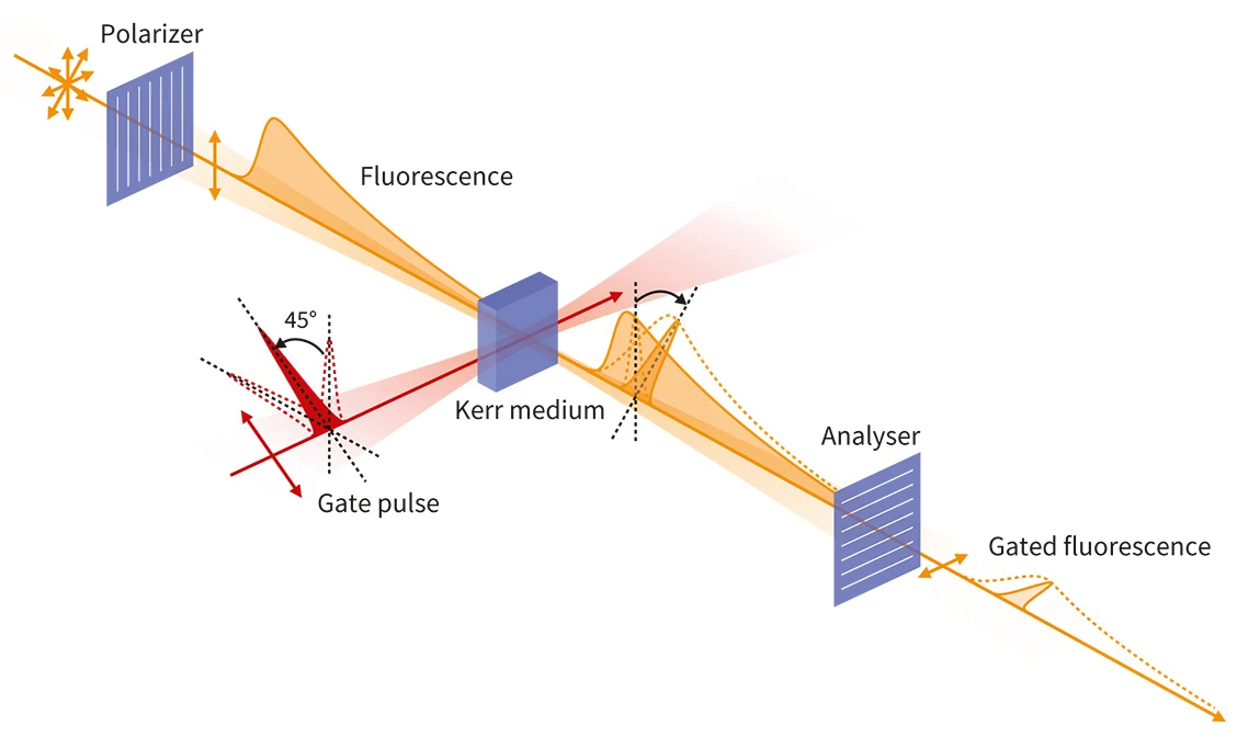 Time-resolved fluorescence spectroscopy