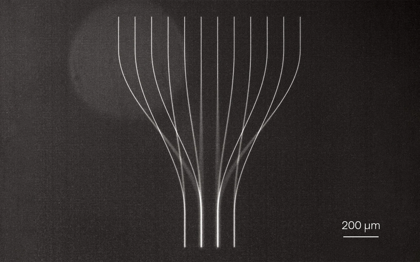 Volume modification